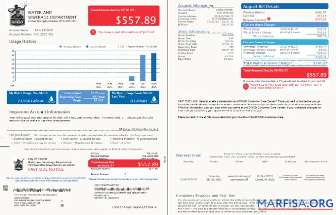 Downloadable USA Detroit Water and Sewerage Department utility bill template in Word and PDF formats, 2 pages, version 3